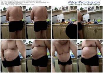 stripchat-narrowboy-11-11-2025-15-16-36