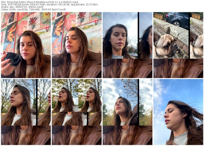 stripchat-alitanova-11-12-2025-08-25-21