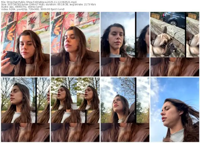 stripchat-alitanova-11-12-2025-08-25-21