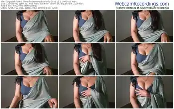 stripchat-gleaming-butterfly-11-12-2025-05-38-26