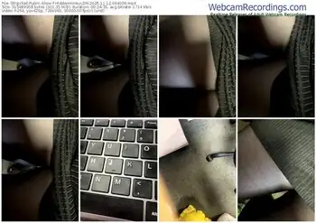 stripchat-hiddenhoneyldn-11-12-2025-09-40-06