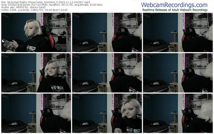 stripchat-holy_mistress_s-11-12-2025-10-02-57