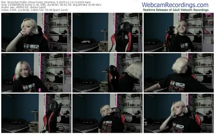 stripchat-holy_mistress_s-11-12-2025-11-42-29