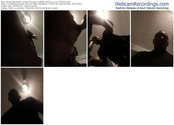 stripchat-honor_daddy-11-12-2025-15-06-13