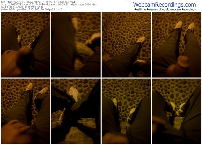 stripchat-rico1_1-11-12-2025-06-08-26