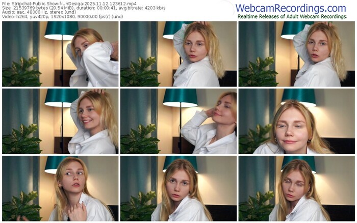 stripchat-undesiga-11-12-2025-12-36-12