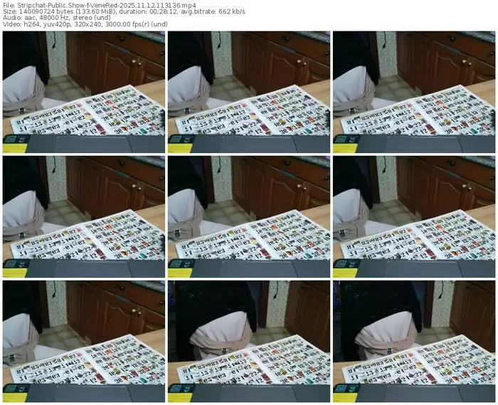 stripchat-venered-11-12-2025-11-31-36