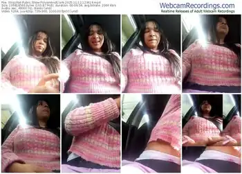 stripchat-vivienandclark-11-12-2025-12-36-14