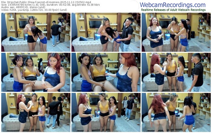 stripchat-secret-of-roomies-11-12-2025-15-05-02