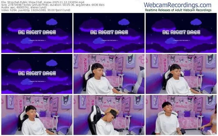 stripchat-tefi_meow-11-12-2025-19-36-54