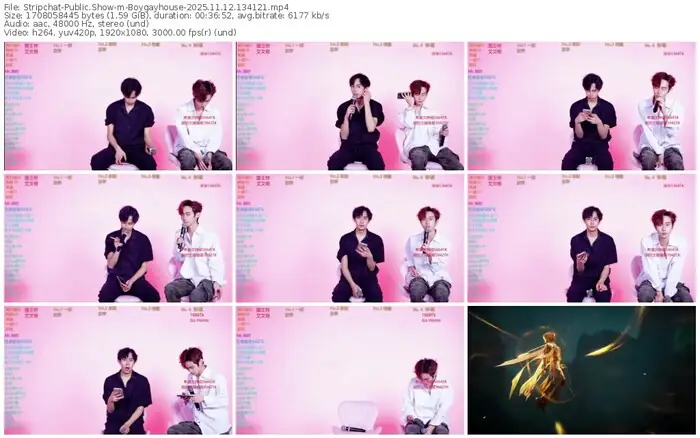 stripchat-boygayhouse-11-12-2025-13-41-21