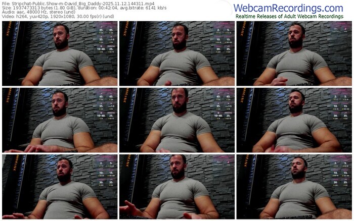 stripchat-david_big_daddy-11-12-2025-14-43-11