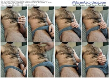 stripchat-deckard_webb1_-11-12-2025-02-34-17