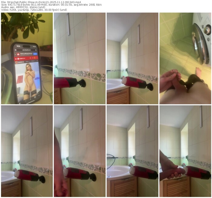 stripchat-dickii21-11-12-2025-09-19-43