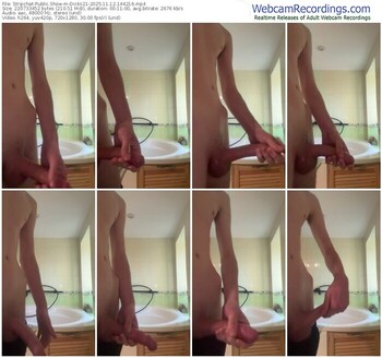 stripchat-dickii21-11-12-2025-14-42-16