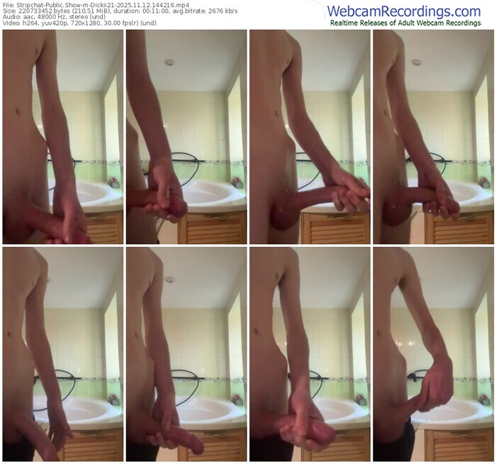 stripchat-dickii21-11-12-2025-14-42-16