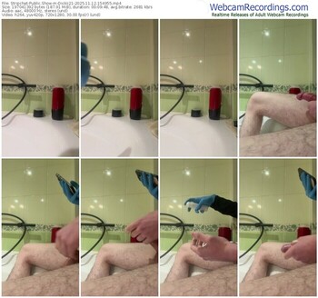 stripchat-dickii21-11-12-2025-15-49-55