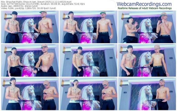 stripchat-iam_steven-11-12-2025-14-43-20