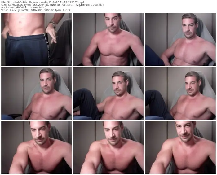 stripchat-lambe91-11-12-2025-21-35-57