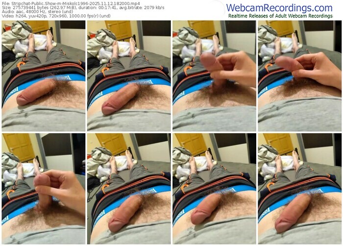 stripchat-miskolc1996-11-12-2025-18-20-00