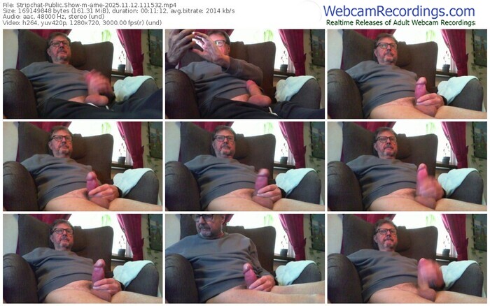 stripchat-arne-11-12-2025-11-15-32