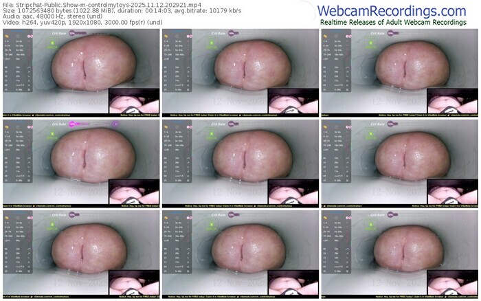 stripchat-controlmytoys-11-12-2025-20-29-21