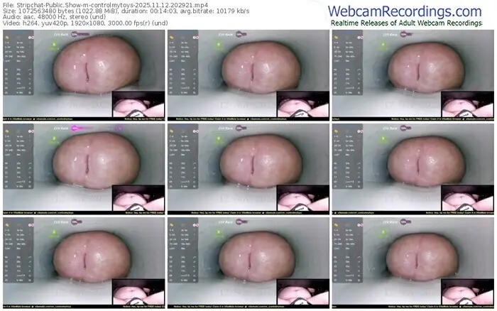 stripchat-controlmytoys-11-12-2025-20-29-21