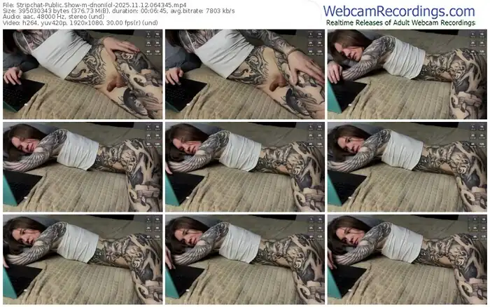 stripchat-dnonilol-11-12-2025-06-43-45