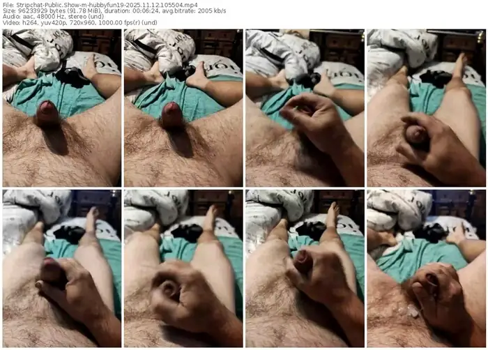 stripchat-hubbyfun19-11-12-2025-10-55-04