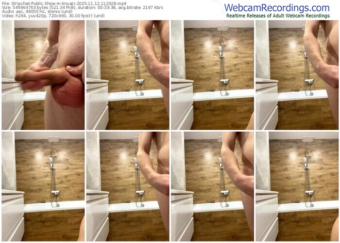 stripchat-knyazi-11-12-2025-11-29-28