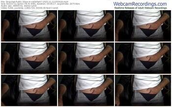 stripchat-velikifant7-11-12-2025-05-34-24