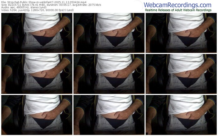 stripchat-velikifant7-11-12-2025-05-34-24