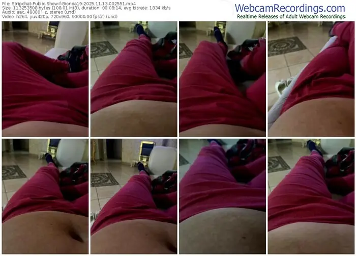 stripchat-bionda19-11-13-2025-00-25-51