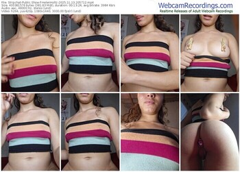 stripchat-helenholtz-11-13-2025-20-57-12