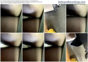 stripchat-hiddenhoneyldn-11-13-2025-10-25-45