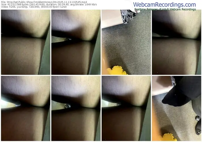 stripchat-hiddenhoneyldn-11-13-2025-10-25-45