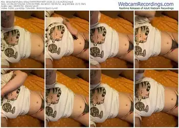 stripchat-imhornywet-11-13-2025-16-25-32