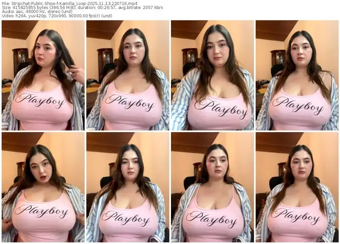 stripchat-kamilla_loop-11-13-2025-22-07-16