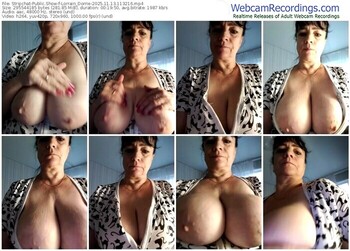 stripchat-lorrain_dorrie-11-13-2025-11-32-16