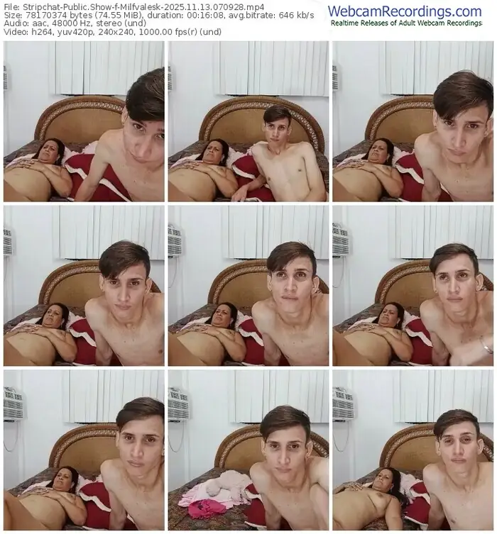 stripchat-milfvalesk-11-13-2025-07-09-28