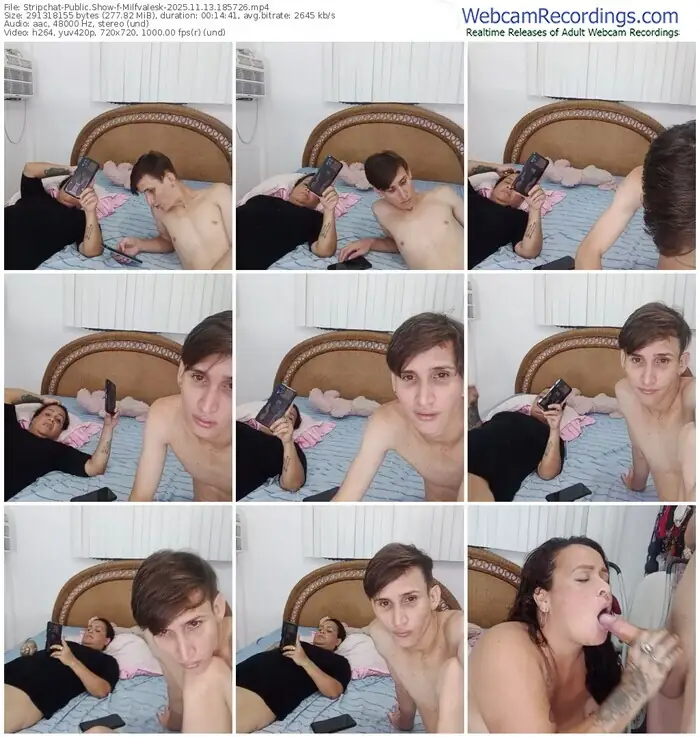 stripchat-milfvalesk-11-13-2025-18-57-26