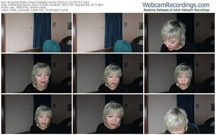 stripchat-rosette_pricky-11-13-2025-16-15-17