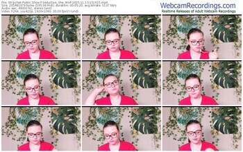 stripchat-seductive_she_wolf-11-13-2025-15-16-15