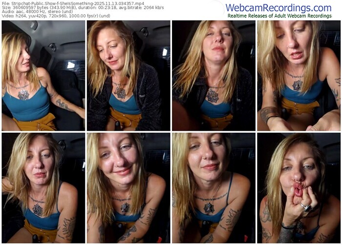 stripchat-sheissomething-11-13-2025-03-43-57