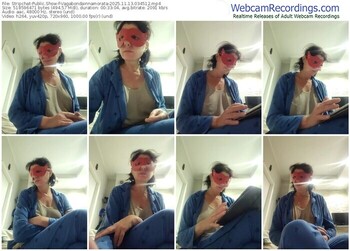 stripchat-vagabondainnamorata-11-13-2025-03-45-12