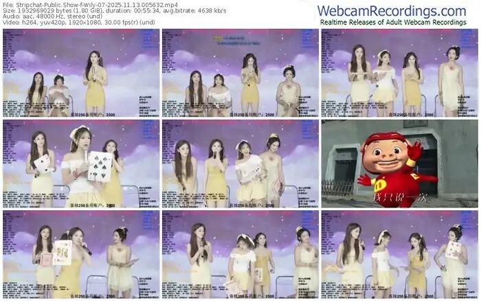 stripchat-wily-07-11-13-2025-00-56-32