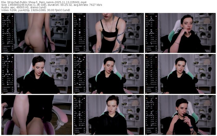 stripchat-_rein_ramm-11-13-2025-03-59-01