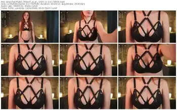 stripchat-_pi_pi_-11-13-2025-17-40-04