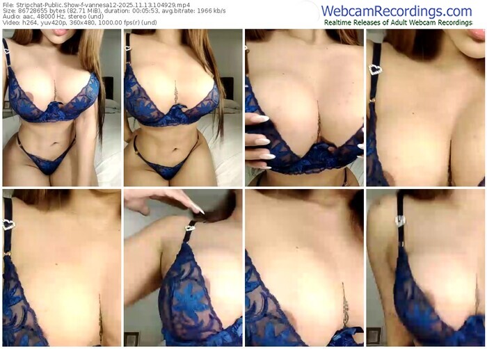 stripchat-vannesa12-11-13-2025-10-49-29