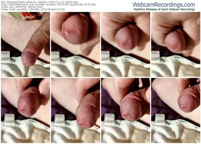 stripchat---serhei---11-13-2025-17-36-16